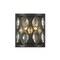 Z-Lite Dealey 2 Light Wall Sconce, Matte Black + Clear Crystal 6010-2S-MB - alternate 6